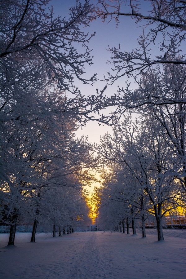 tr_ph_004.jpg